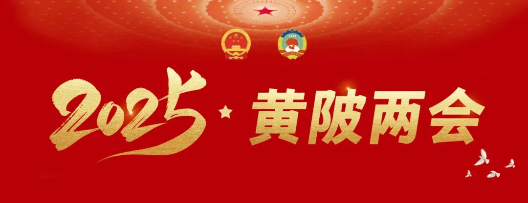 2025·黄陂两会|代表委员风采②